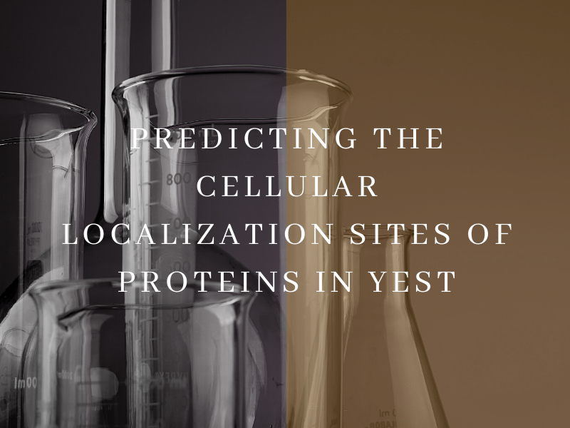 Predicting the Cellular Localization Sites of Proteins in Yest