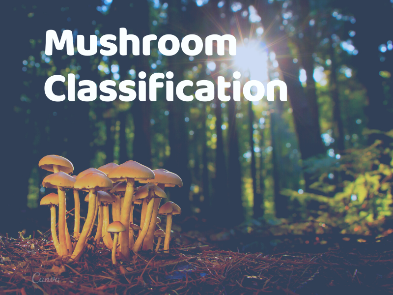 Machine Learning Project on Mushroom Classification whether it’s edible or poisonous Part 1