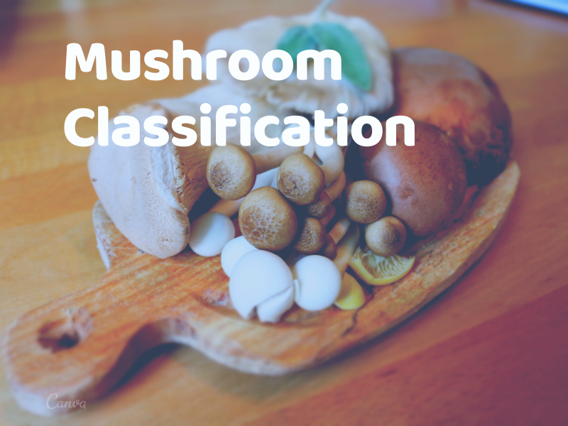 Machine Learning Project on Mushroom Classification whether it’s edible or poisonous Part 2